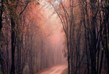 2025“维德杯”斯诺克世界公开赛盛大开幕! 世界台球城玉山....