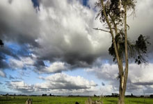 欧博ABG官网：时光相册｜“双亚冬之城”的冰雪记忆新华社.