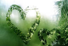 欧博ABG官网：[天下足球]疯狂的足球·2024：球场上的搞笑瞬间.