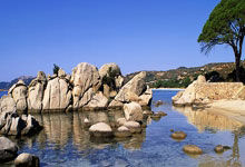 欧博ABG官网：2024中超年度颁奖典礼将在1月8日晚上7点半举行.